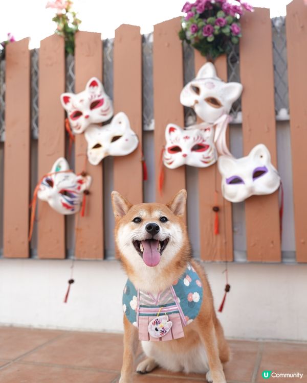 荃灣天台 日式打卡點🌟