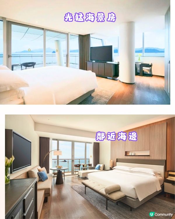 深圳6大打卡酒店🏢南洋風裝潢/玻璃房游泳池🌊附地址+交通教學🚇