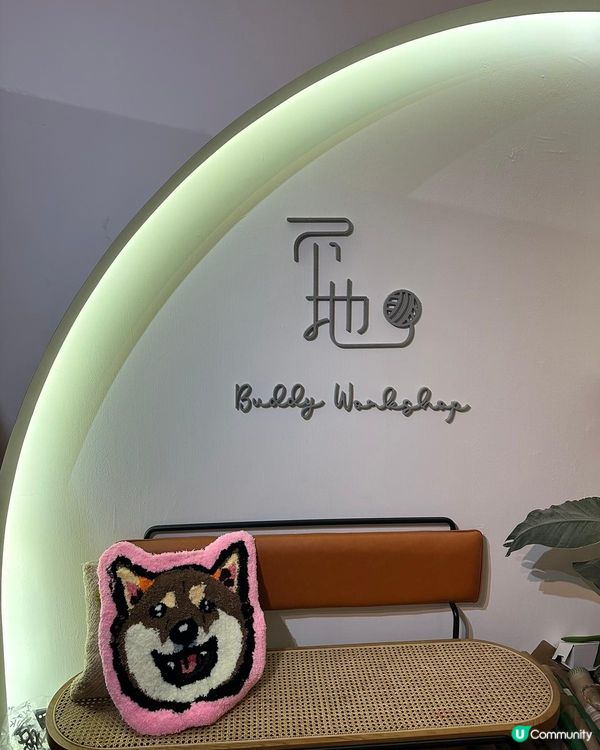 爸爸親手整嘅地氈🦊