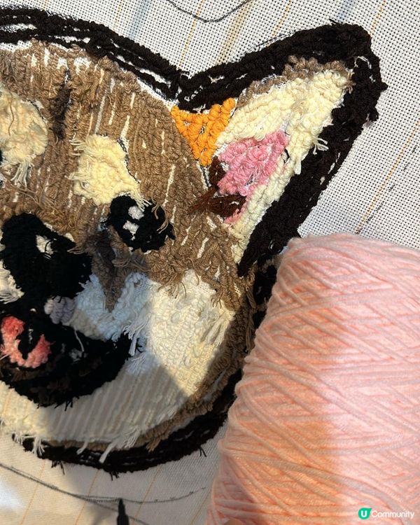 爸爸親手整嘅地氈🦊