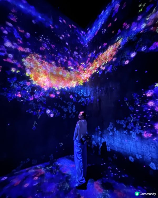 【東京】探索「麻布台之丘teamLab無界」