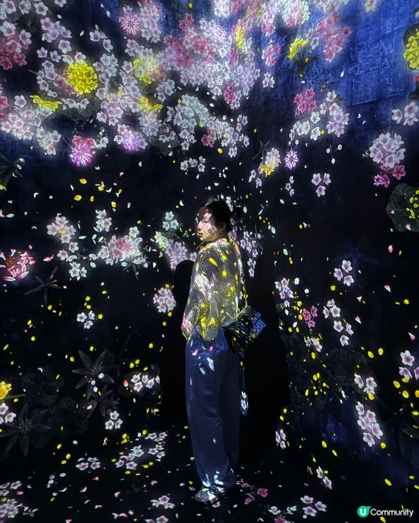 【東京】探索「麻布台之丘teamLab無界」