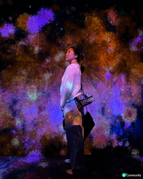 【東京】探索「麻布台之丘teamLab無界」