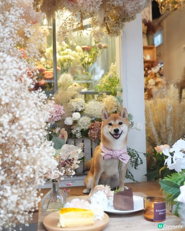 佐敦花花Cafe❗️環境靚到好似仙境咁🌟