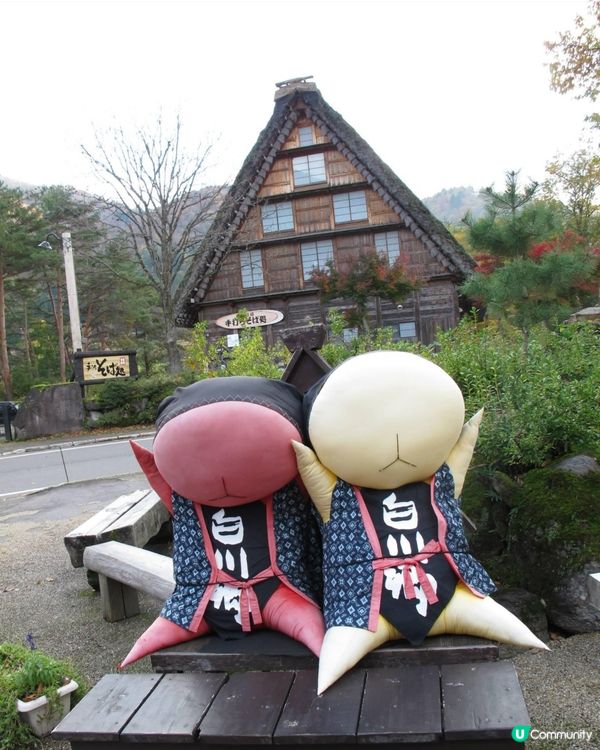 我同好多香港人一樣,都好鍾意去日本旅遊｡因為日本地方大,而且...