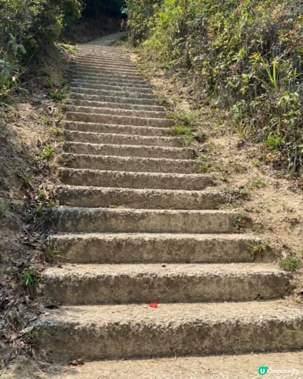 今天做個山系女子