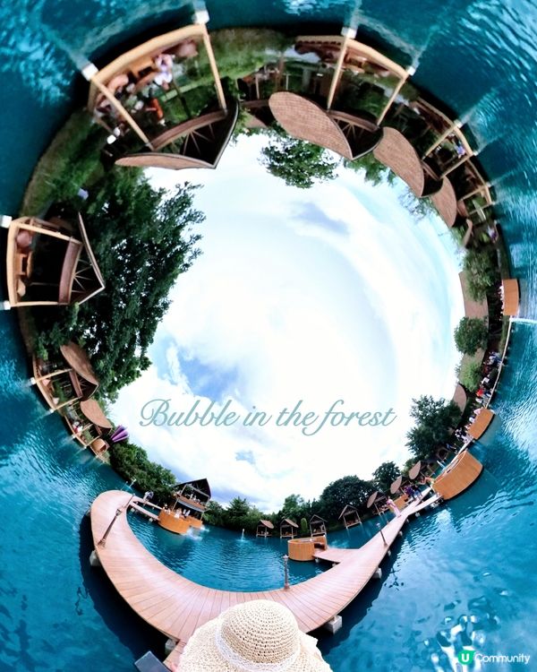 Bubble in the forest Café 🏖🛖