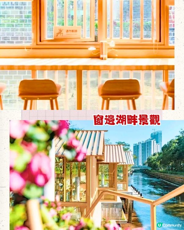 深圳6大打卡書店📚日系湖邊圖書館/復古英倫cafe🇬🇧附地址+交通教學🚗