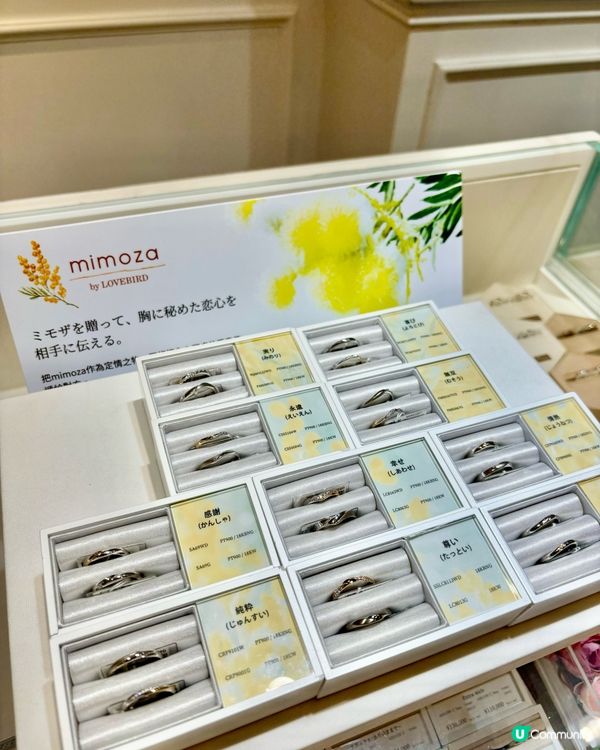 【鑽戒 婚戒 對戒 樓上店 - Lovebird】✨文末優惠