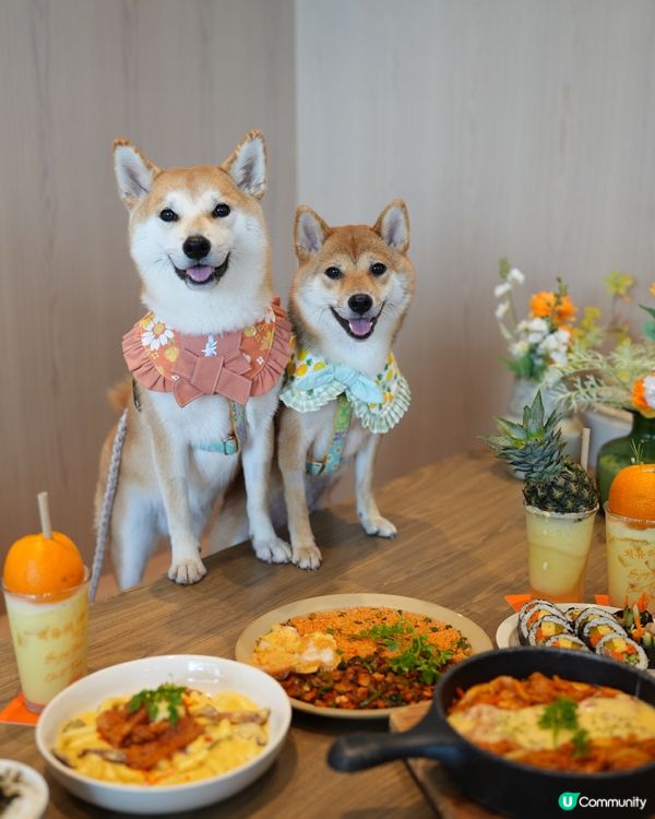 濟州🍊餐廳 (寵物友善💜