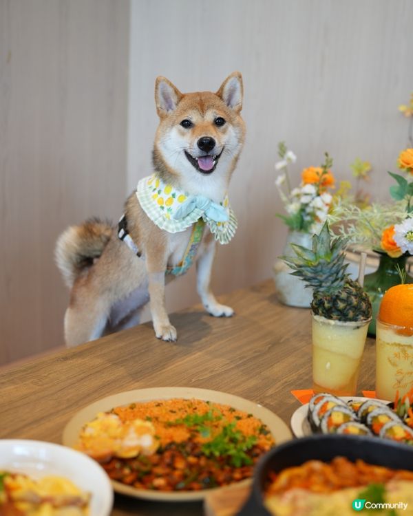 濟州🍊餐廳 (寵物友善💜