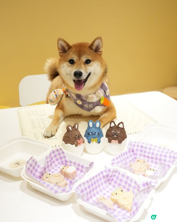 帶埋毛孩一齊整蛋糕🌟