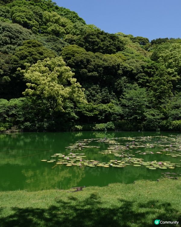 別府地獄奇景！海地獄藍得似冰🧊