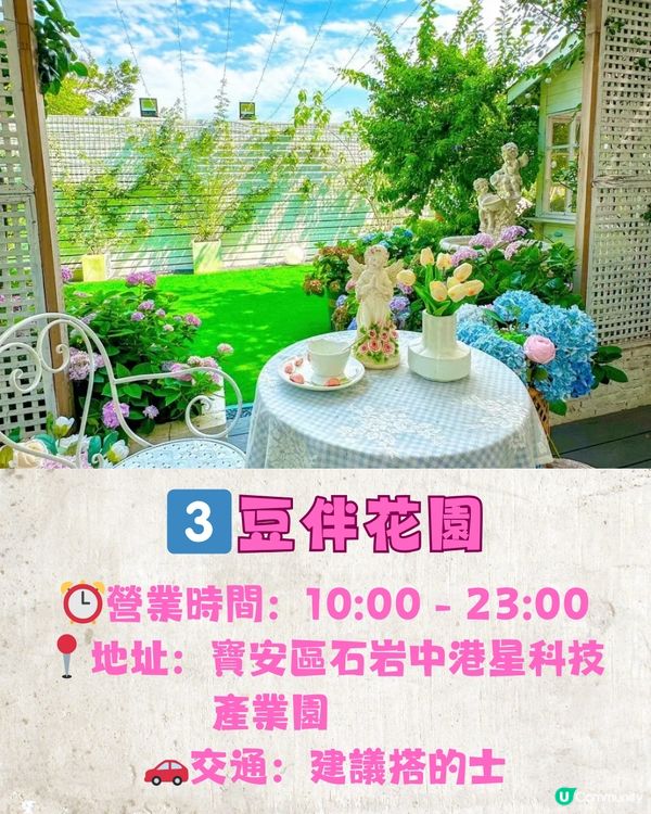 深圳茶館6大推介🍵頂樓靚景/夢幻花海茶館🌸¥54單人套餐‼️
