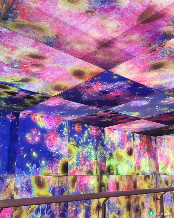 中洲灣C Future City