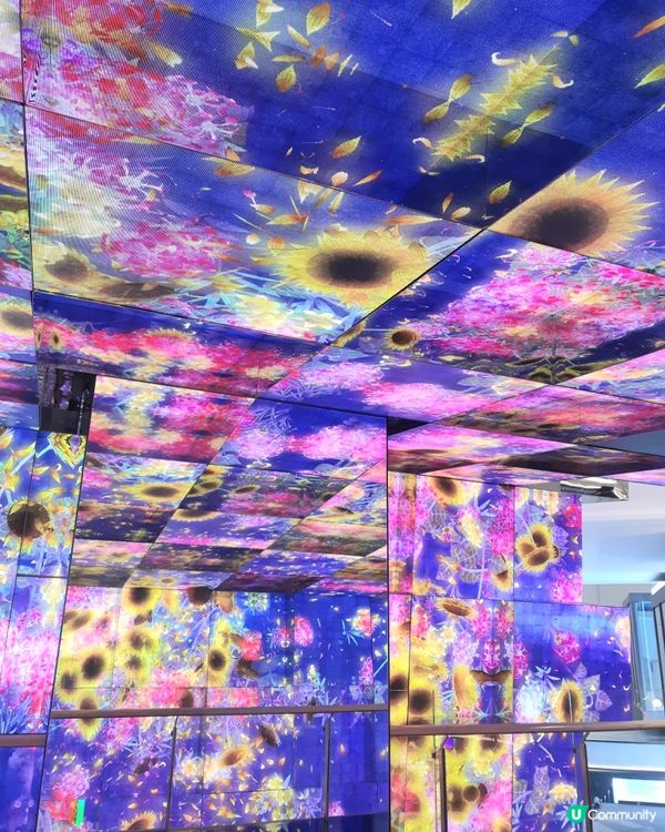 中洲灣C Future City