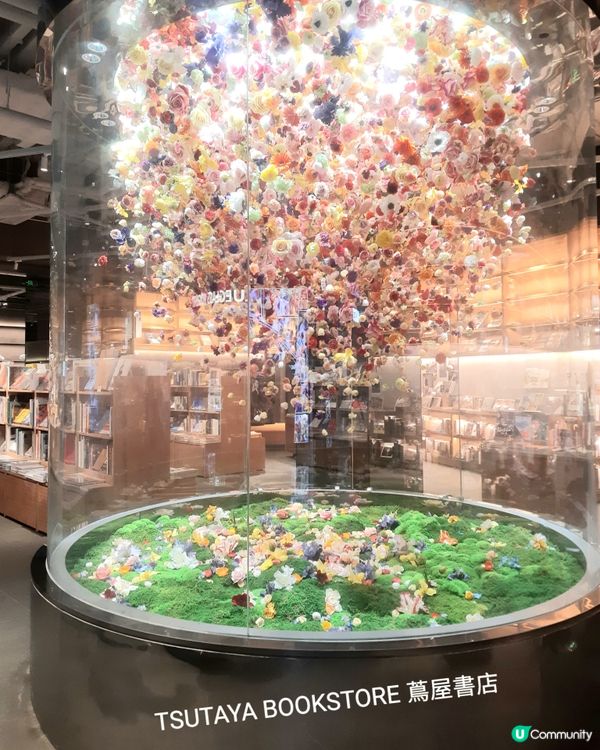 中洲灣C Future City