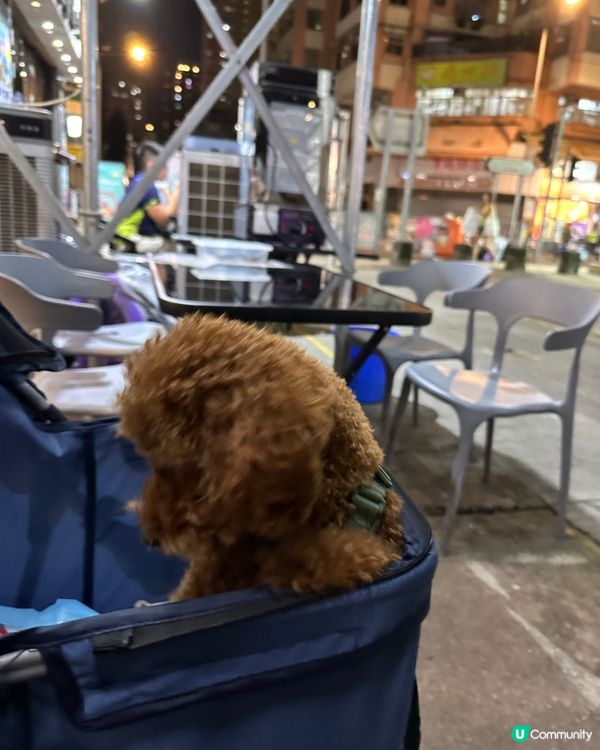 生日派對同狗狗公起室外吃個串燒放題 非常野味 