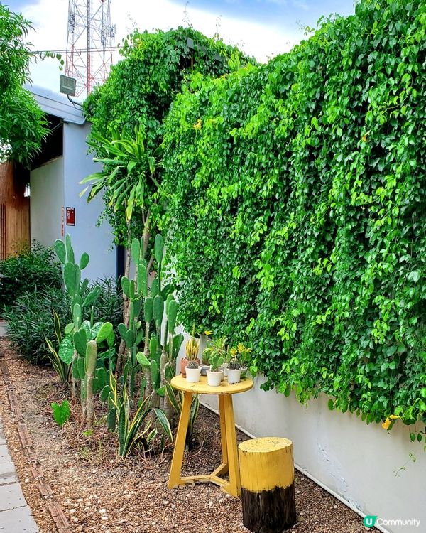 After the Rain Coffee&Gallery