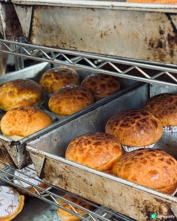 我成日都會?車入西貢然後去行下山，落下海玩水上活動或者潛水?...