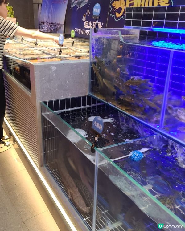 今次黎深圳的?火碼頭放題，牛肉都好味及靚，海鮮全部新鮮即撈仲...