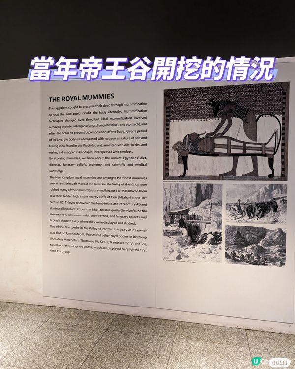 HKD80就能看拉美西斯1到12世木乃伊~真的太值了!
