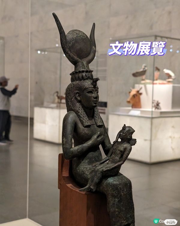 HKD80就能看拉美西斯1到12世木乃伊~真的太值了!
