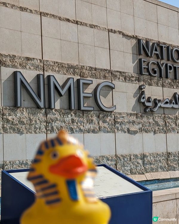 HKD80就能看拉美西斯1到12世木乃伊~真的太值了!
