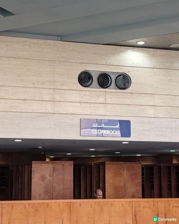 HKD80就能看拉美西斯1到12世木乃伊~真的太值了!
