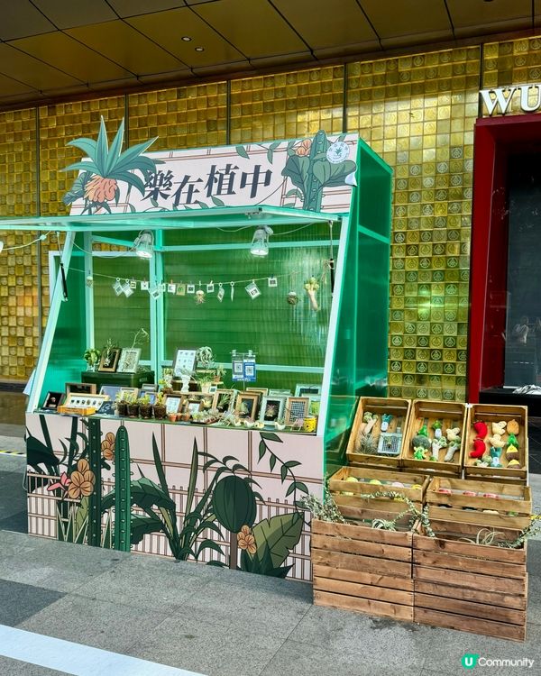 【深圳卓悅INTOWN攻略.逛逛CBD菜市場!】