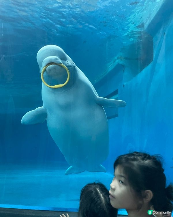 搶到平機票！飛高雄食食食😋