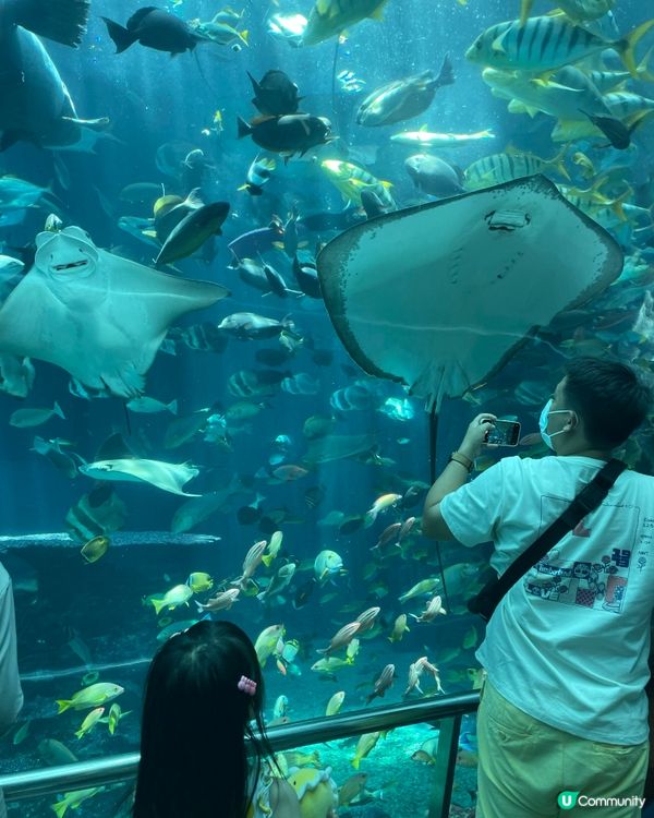 搶到平機票！飛高雄食食食😋