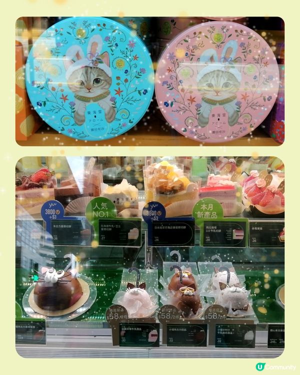 貓咪造型蛋糕+甜品+月餅(期間限定)齊集東海堂😸🤩😄