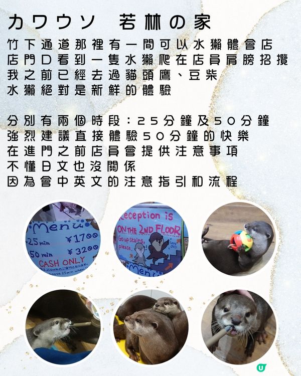 親親可愛小水獺：カワウソ 若林の家