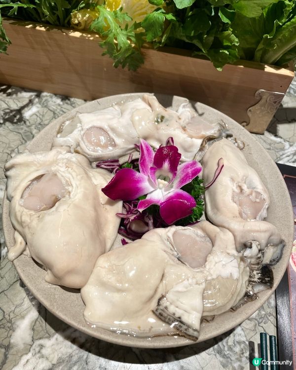 打卡火鍋，靚靚牛奶玫瑰鍋