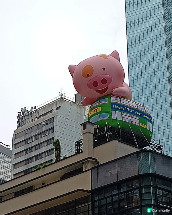 飛天麥兜🐷