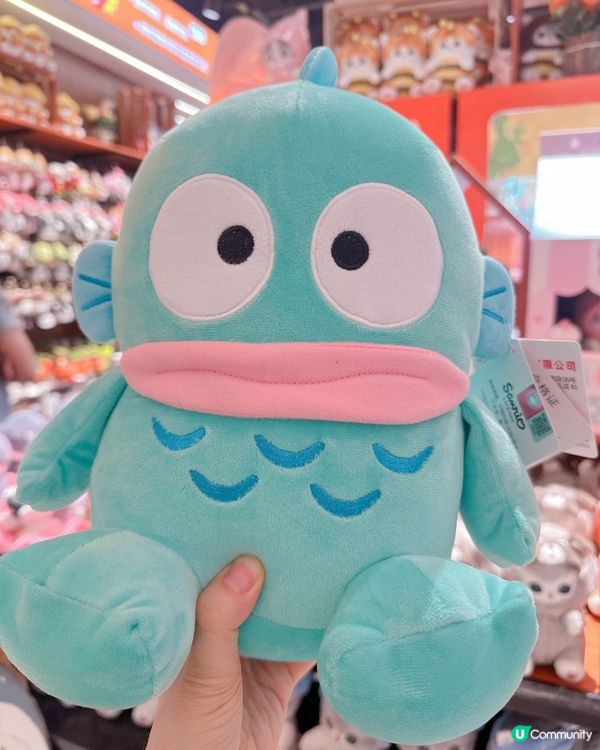 皇庭廣場夾公仔天堂🤩