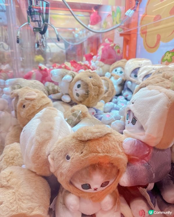 皇庭廣場夾公仔天堂🤩