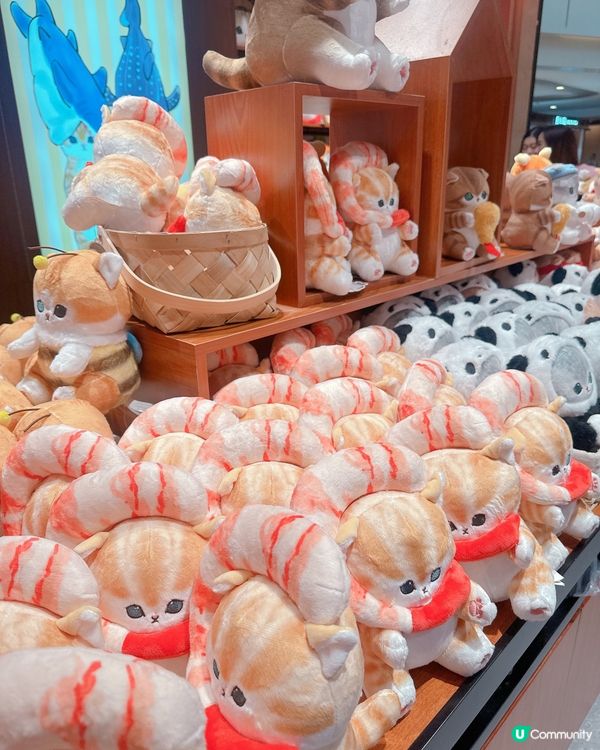 皇庭廣場夾公仔天堂🤩