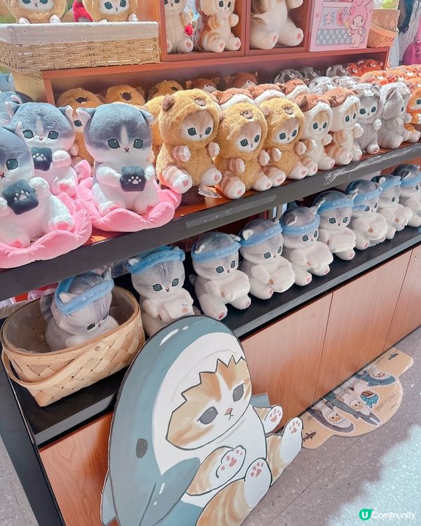 皇庭廣場夾公仔天堂🤩