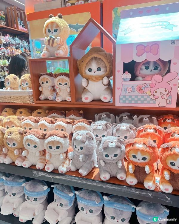 皇庭廣場夾公仔天堂🤩