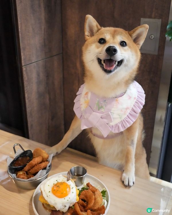 荔枝角寵物友善餐廳 超好食熱香餅漢堡 超推介🌟