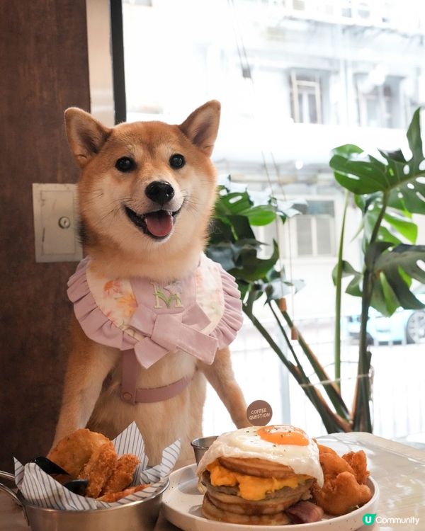 荔枝角寵物友善餐廳 超好食熱香餅漢堡 超推介🌟