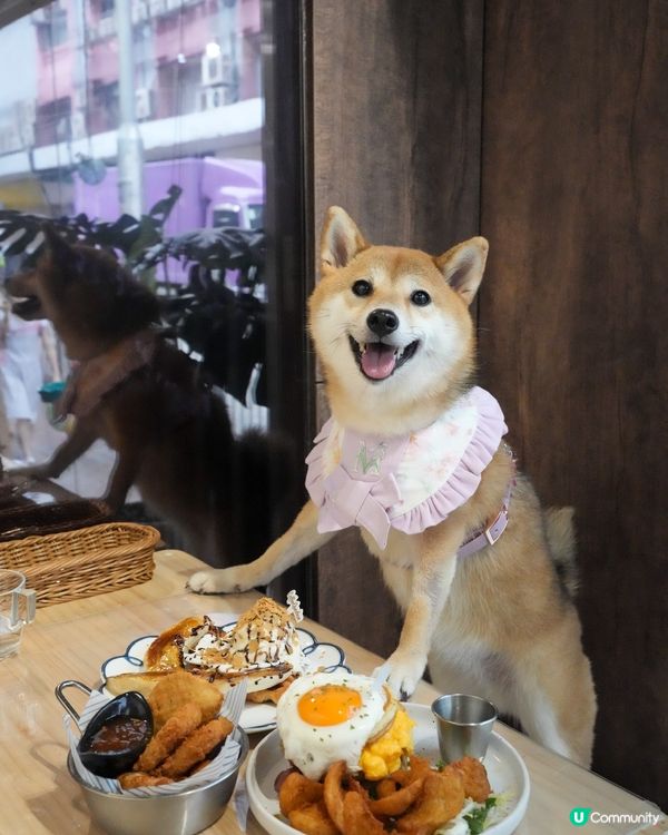 荔枝角寵物友善餐廳 超好食熱香餅漢堡 超推介🌟