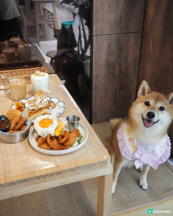 荔枝角寵物友善餐廳 超好食熱香餅漢堡 超推介🌟