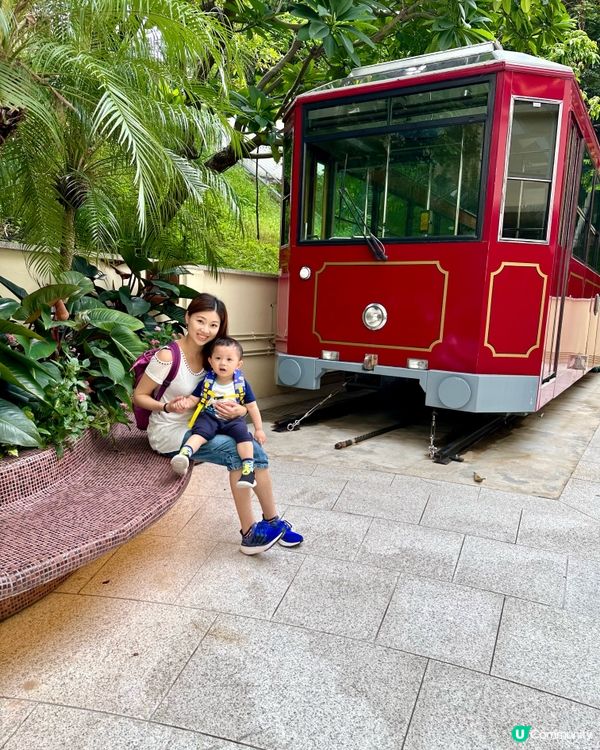 「九龍區」一級歷史建築🏘️懷緬「港島」山頂纜車🚠