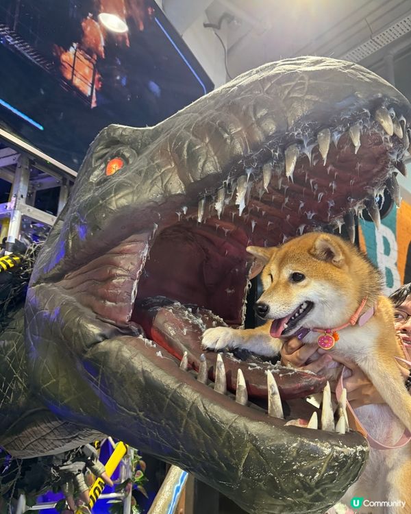 🦖佢一啖食左我🥹