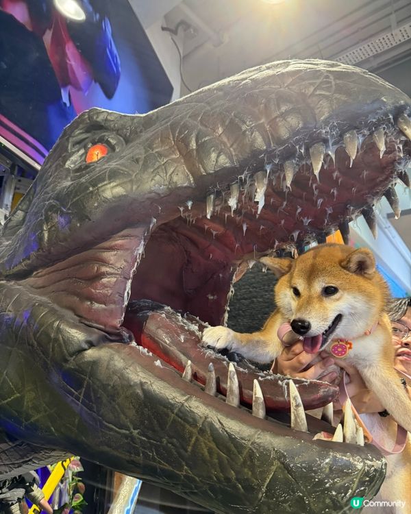 🦖佢一啖食左我🥹