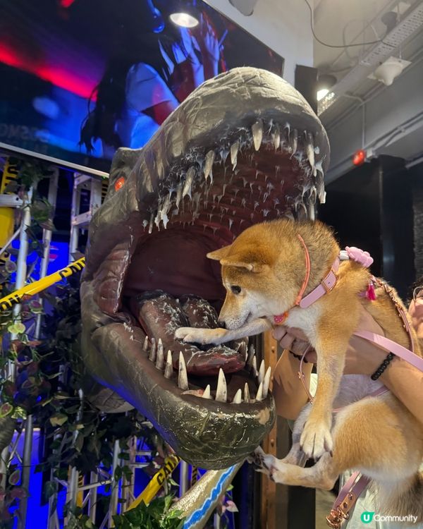 🦖佢一啖食左我🥹