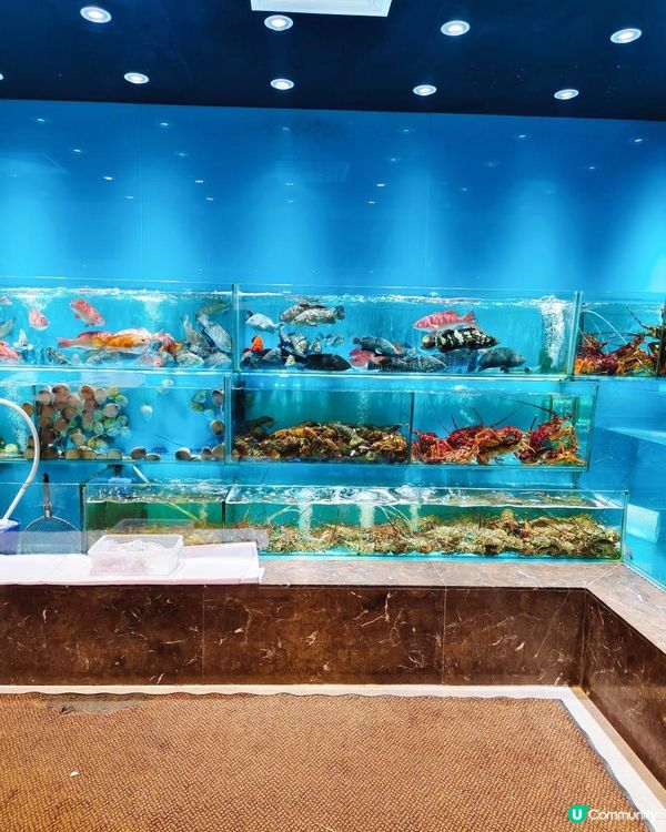 是真的！HKD$1吃到乳豬，多分店！